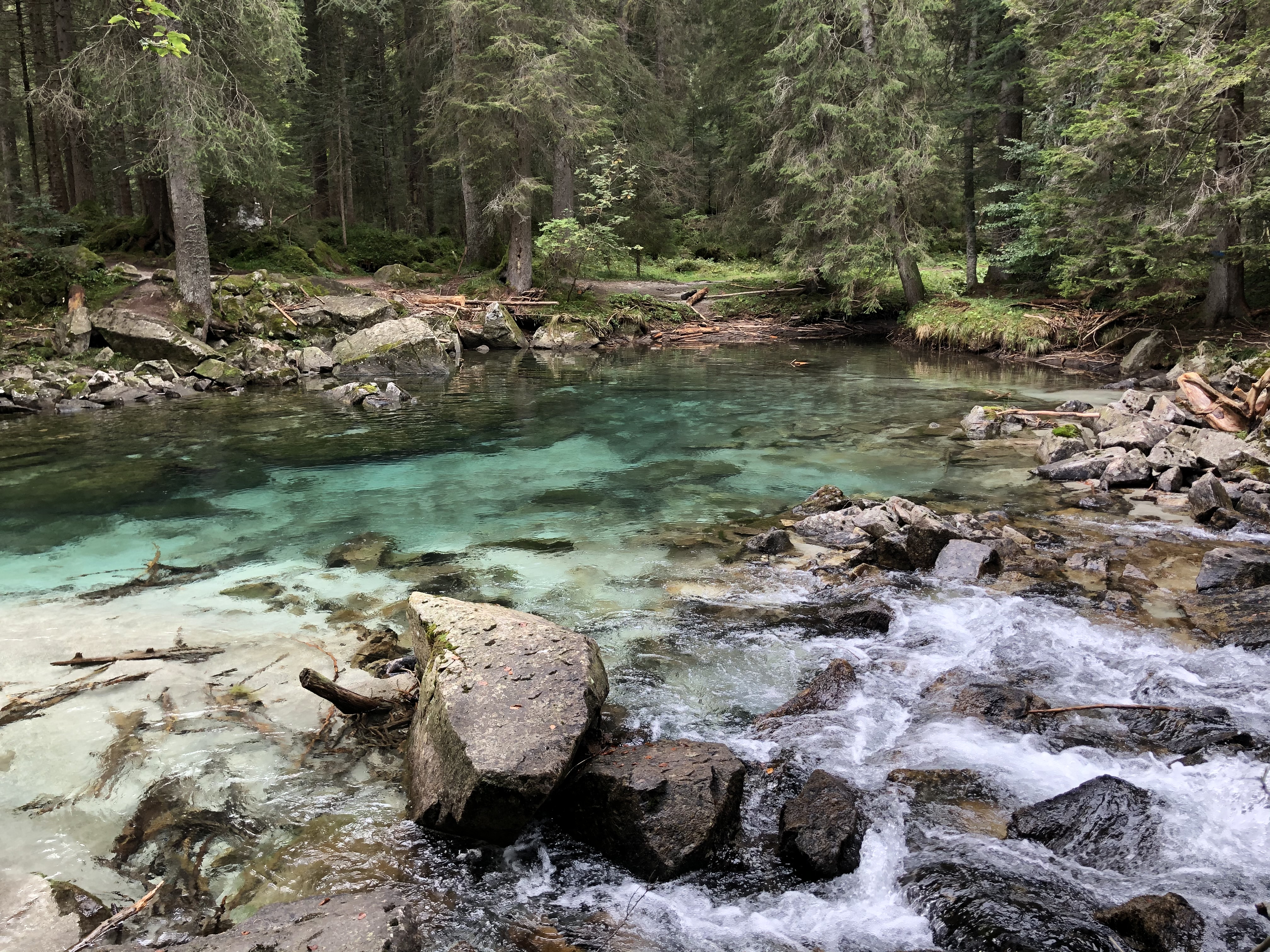 Help society and the planet by choosing a Pillar 3 which invests your money sustainably. Here's a showdown of your best options for earning and sustainability. Have a Pillar 3 already? See how yours compares to the best current options. /posts/best_digital_sustainable_pillar_3/images/best_digital_pillar_3_switzerland_2021.jpg