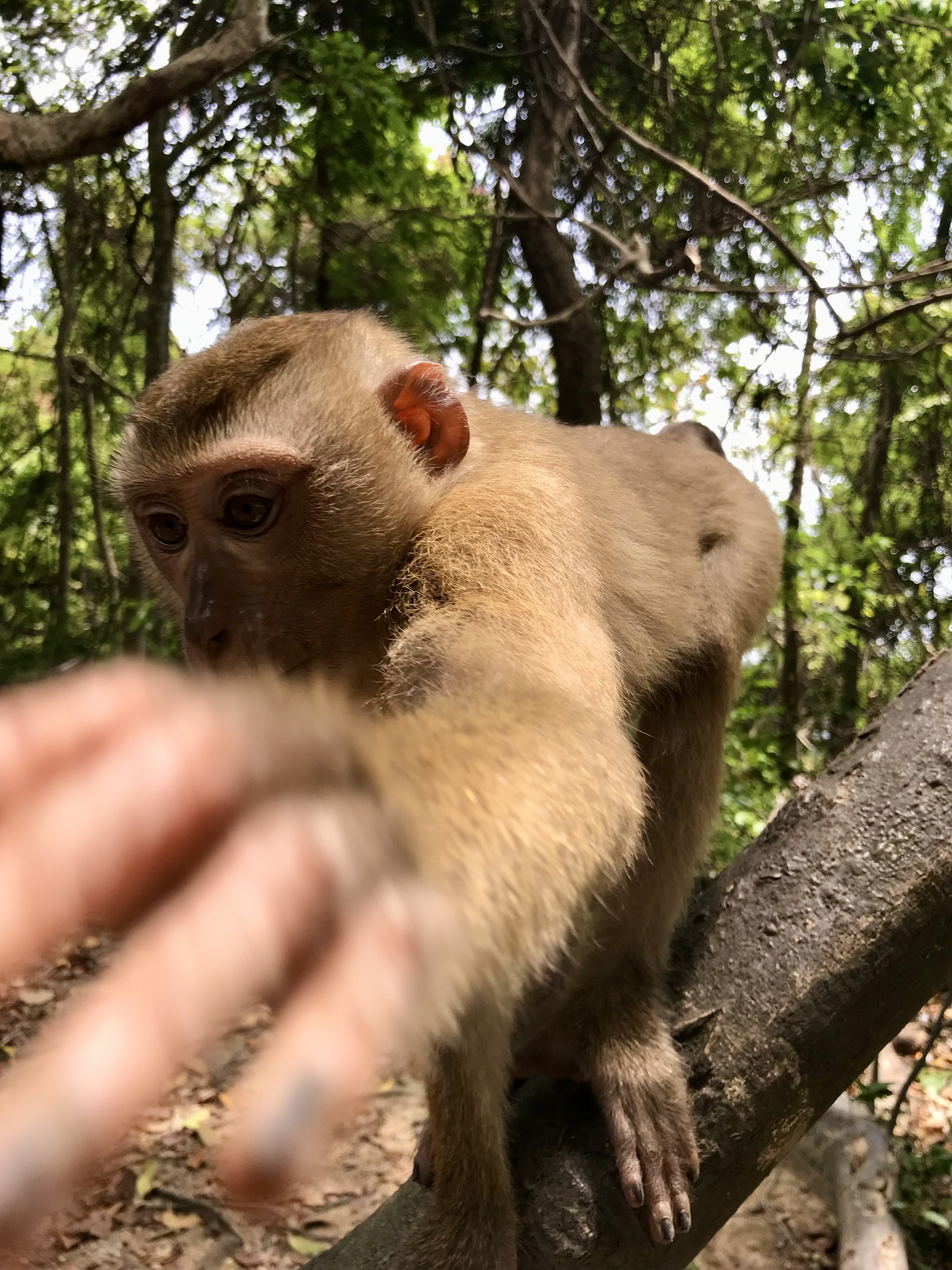 Choose which broker? Buy which stocks? How much money? When to buy & sell? All specific steps I took to start investing in the stock market, have my savings work in my sleep, and fight the wealth gap. /posts/dipping_a_toe_into_the_stock_market/images/artpict.jpg